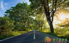 大兴03年100万食品公司执照带三个车指标转让