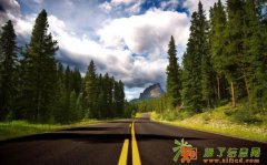 低价转让06年10万的文化公司执照