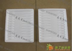 佛山泡沫箱_水果箱_530*375*275mm