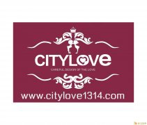 杭州游艇求婚策划公司杭州CITYLOVE浪漫求婚