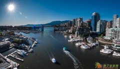 河南挖掘机司机去哪个国家能赚钱