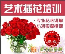 南通插花才艺培训哪里有？生产适合送什么花？