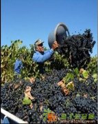 应国外雇主的要求现招木工、抹灰工月薪两万以上