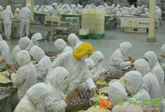 急招出国焊工数名，月薪两万以上。