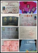 沈阳音乐学院及艺术类考前培训 近百考生成功考取名校