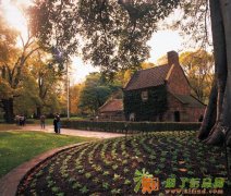 出国去加拿大做普工月赚2万