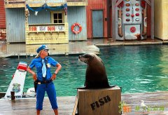 去澳洲当司机年赚30万