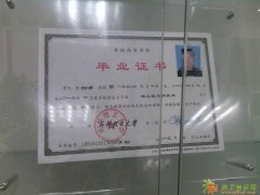 这里报成都自考 电大 成教 民办学历 太好了？