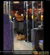 缝纫工出国工作哪里去