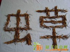 冬虫夏草价格查询 回收冬虫夏草 收海参