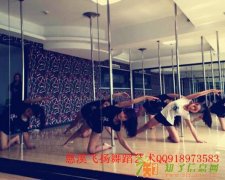 选择慈溪舞蹈艺术培训机构要看舞蹈教练是否专业