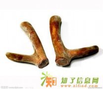 回收生虫冬虫夏草 回收发霉冬虫夏草