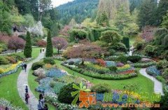 河南农场工出国打工赚钱去发达国家年薪比国内老板高