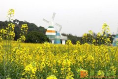 【东莞赏花踏青之旅】松山湖梦幻百花洲赏花、踏青休闲一天游--
