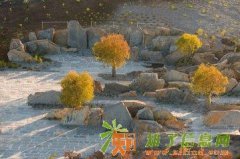 河南人出国赚钱去打工