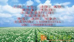 美加澳，月入2万元，高薪出国