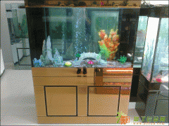 深圳鱼缸订做，深圳大小型鱼缸订做，深圳大众鱼缸厂