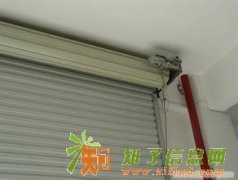 天津欧式卷帘门 安装欧式卷帘门