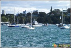 河南种植工出国打工赚钱去澳大利亚发达国家