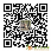 成都宠物用品批发