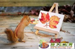 学英语有什么技巧呢 嘉兴去哪里学新概念英语呢