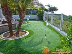 浙江高尔夫室内模拟器 人工果岭 高尔夫球