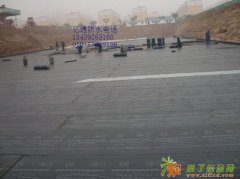 石景山区专业防水堵漏bn北京专业防水