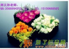 南京零基础插花培训班/江宁开花店花艺培训