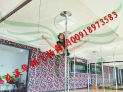 慈溪华翎钢管舞领舞专业舞蹈培训学校