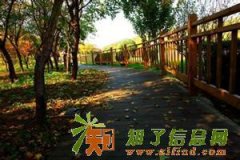 园林景观之大连木栈道