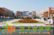 自考成考网教火热招生中