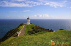 新西兰各大大学优势介绍 哪一所俘获了你的心