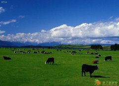 处理不好或合同未注意则进入陷阱之中 澳洲房产购买注意事项