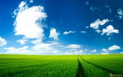 是意外还意料之中 新西兰竟然成为移民人士心中最为适合养育子女