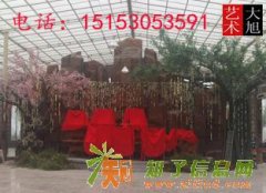 淄博生态园假树