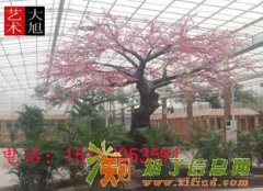 济南人造水泥假山