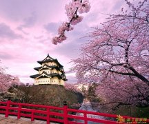 高端留学项目  *免学费免住宿赴日留学*