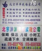 北京朝阳小时工优秀保姆保洁