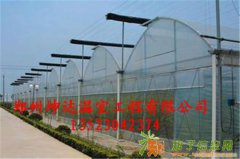 河南温室大棚最超值的蔬菜温室大棚推荐