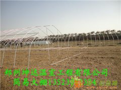 温室大棚晋城费用