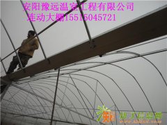 台州连栋大棚型号规格制造商