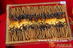 保定冬虫夏草回收 廊坊回收冬虫夏草香烟