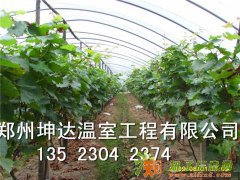 河南几字钢大棚哪家报价低温室大棚建造哪家最专业坤达大棚质好价