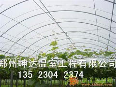 专业蔬菜大棚建造坤达工艺先进、经久耐用