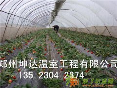 河南冬暖式蔬菜大棚（厂家，生产厂家，价格，承建，建设）到郑州