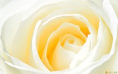 泰安地区诚招优秀出国代理商，高回报