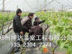 郑州养殖大棚建造养鸡大棚建设坤达温室大棚建造供应商