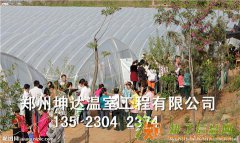 新型草莓大棚骨架找哪家