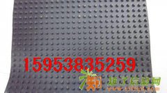 厂家供应延安楼顶塑料排水板