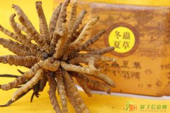 回收海参极草含片鱼翅13001917195